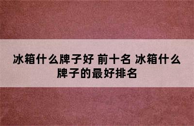 冰箱什么牌子好 前十名 冰箱什么牌子的最好排名